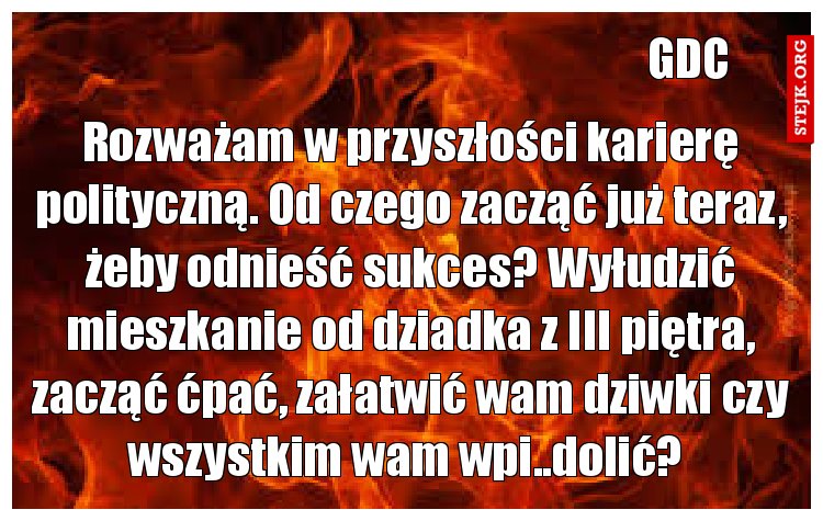 Rozważam w przyszłości karierę polityczną. Od czego zacząć już teraz, żeby odnieść sukces? Wyłudzić mieszkanie od dziadka z III piętra, zacząć ćpać, załatwić wam dziwki czy wszystkim wam wpi..dolić? 