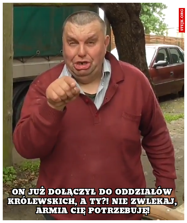 ON JUŻ DOŁĄCZYŁ DO ODDZIAŁÓW KRÓLEWSKICH, A TY?! NIE ZWLEKAJ, ARMIA CIĘ POTRZEBUJĘ!