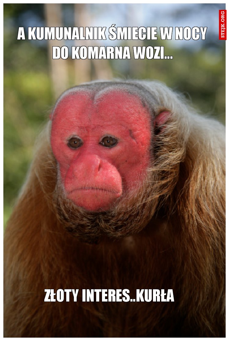 A Kumunalnik śmiecie w nocy do Komarna wozi...
