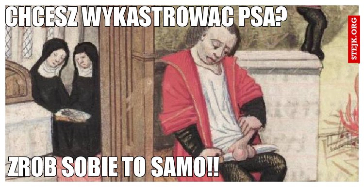 Chcesz wykastrowac psa?