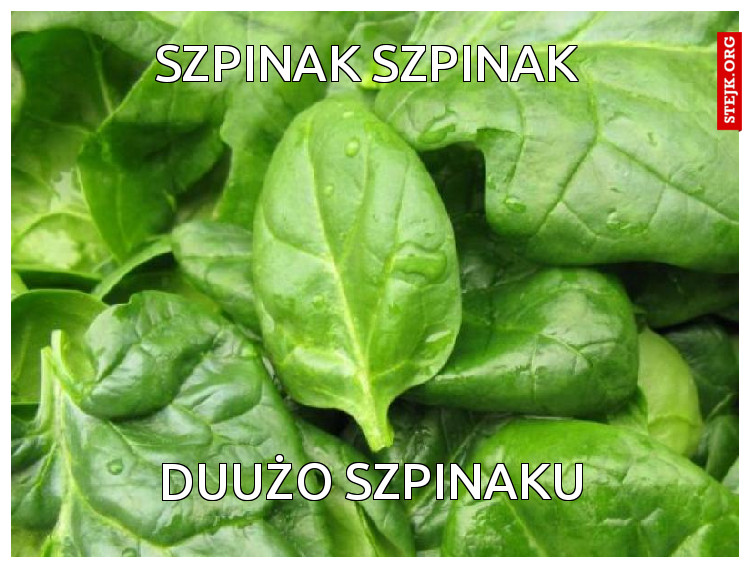 Szpinak szpinak