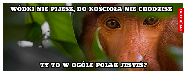 Wódki nie pijesz, do kościoła nie chodzisz