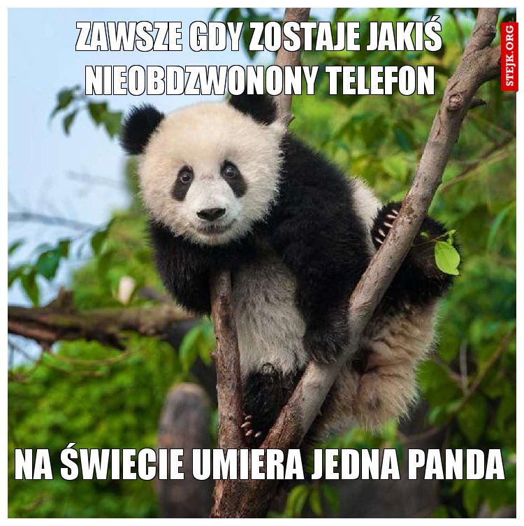 Zawsze gdy zostaje jakiś nieobdzwonony telefon