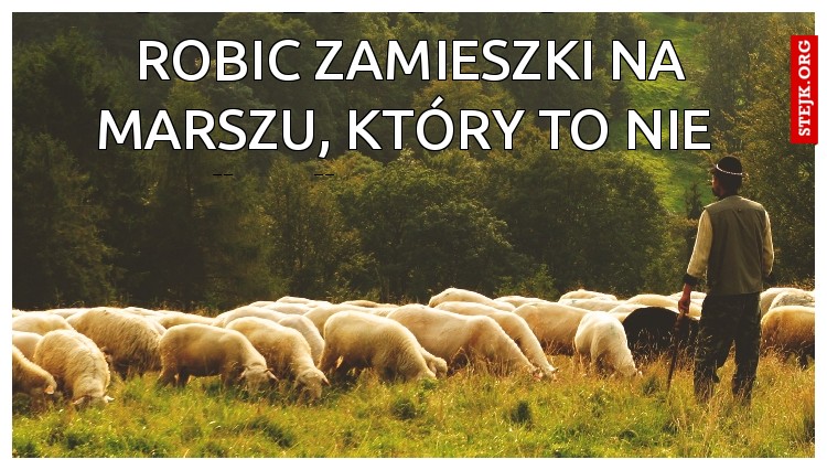 moi wyborcy mówiłem robic zamieszki na marszu, który to nie  "po"słuchał ?
