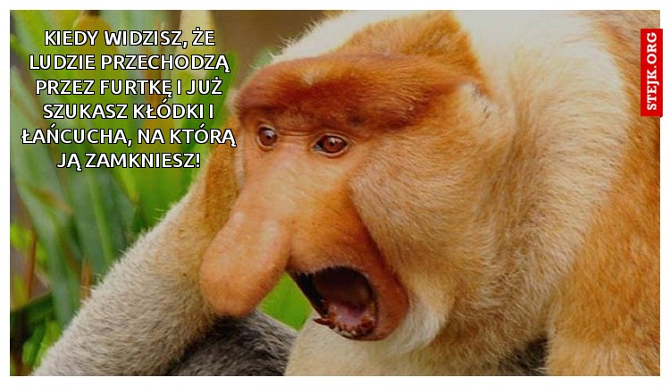 Kiedy widzisz, że ludzie przechodzą przez furtkę i już szukasz kłódki i łańcucha, na którą ją zamkniesz!