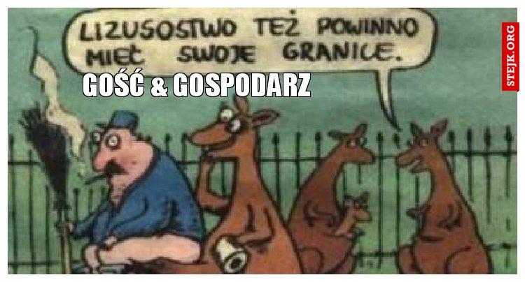 gość 