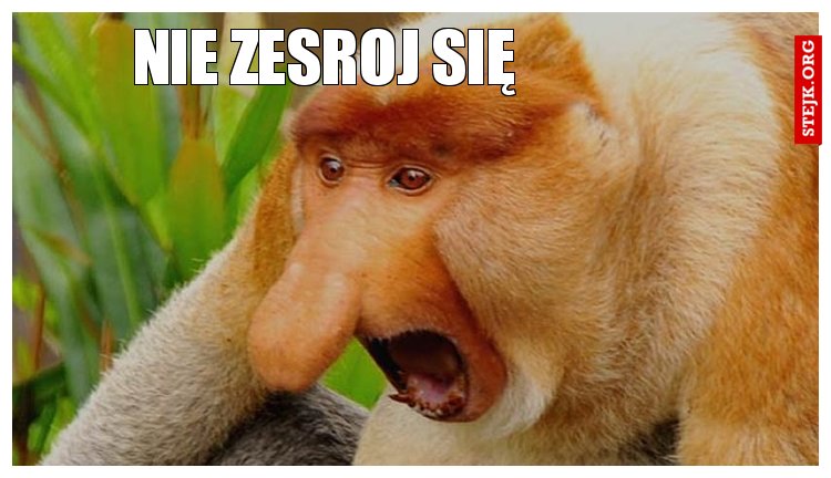 nie zesroj się