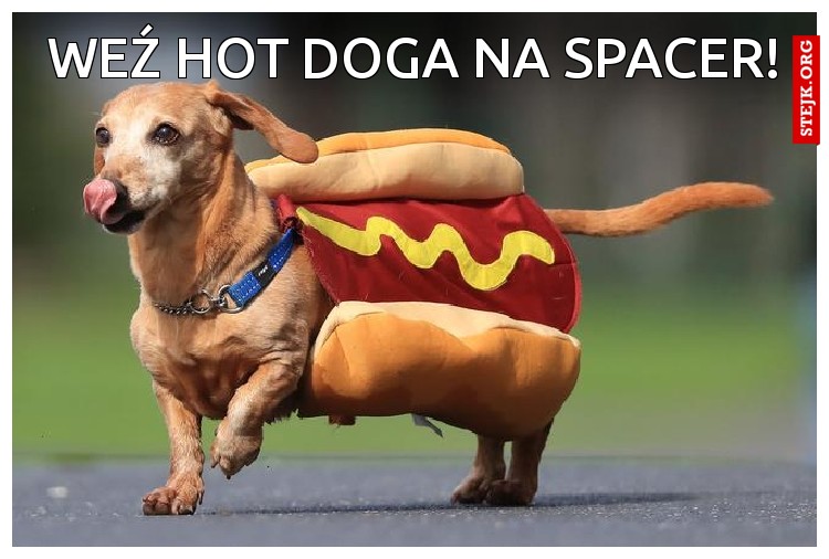Weź hot doga na spacer!