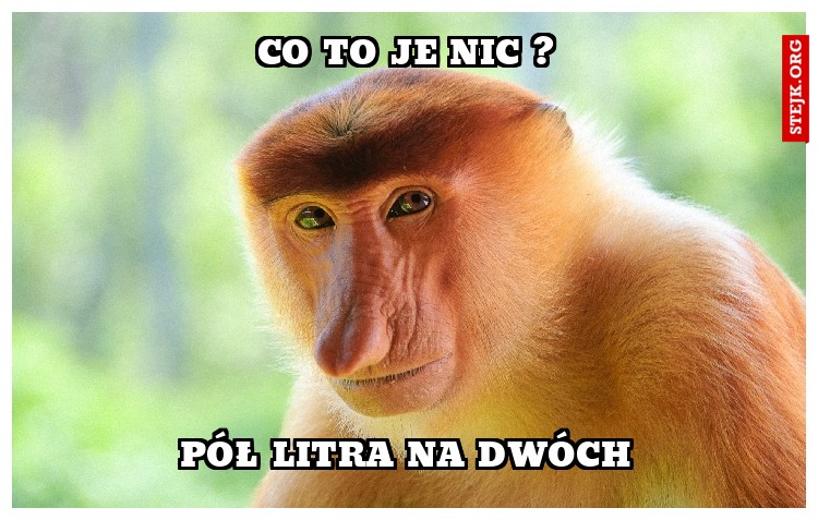 co to je nic ?