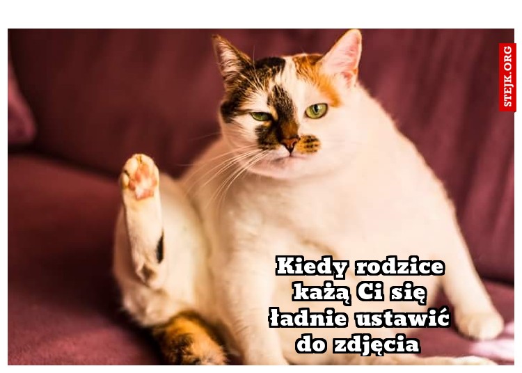 Kiedy rodzice każą Ci się ładnie ustawić do zdjęcia 