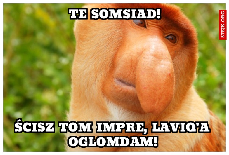 Te somsiad!