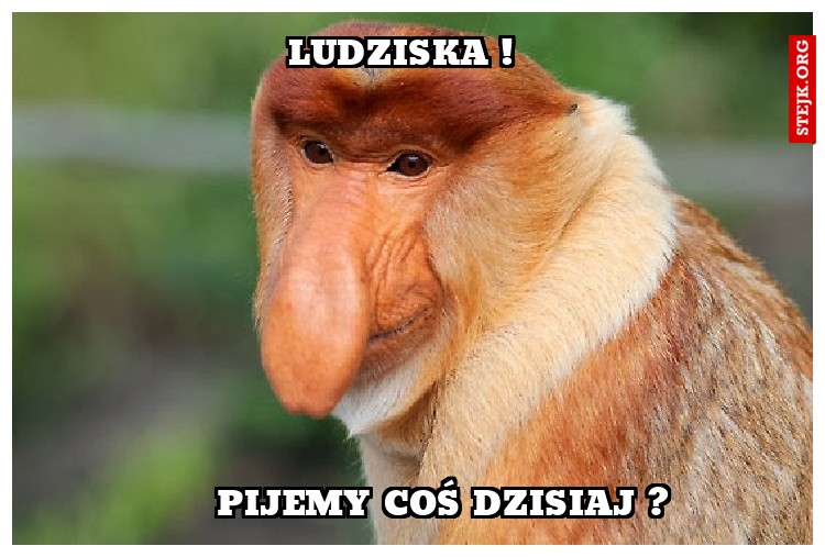 LUDZISKA !