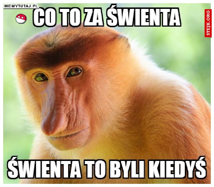 swieta