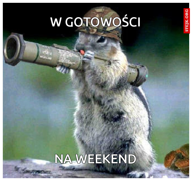 W gotowości