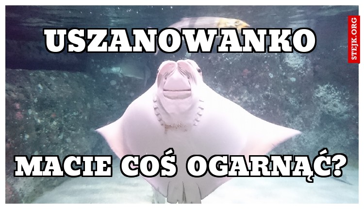 USZANOWANKO