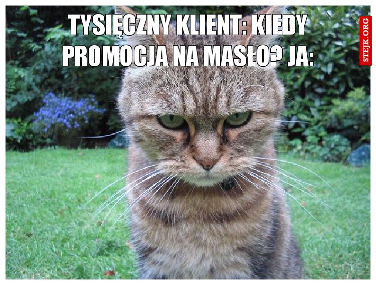 Tysięczny klient: Kiedy promocja na masło? Ja: