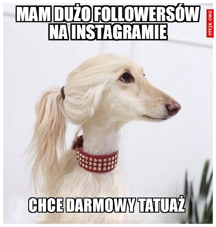 CHCE DARMOWY tATUAŻ