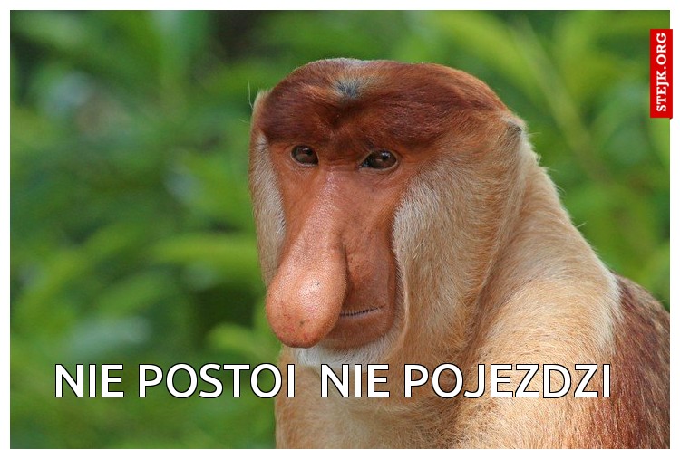 Fajne te audi a3 