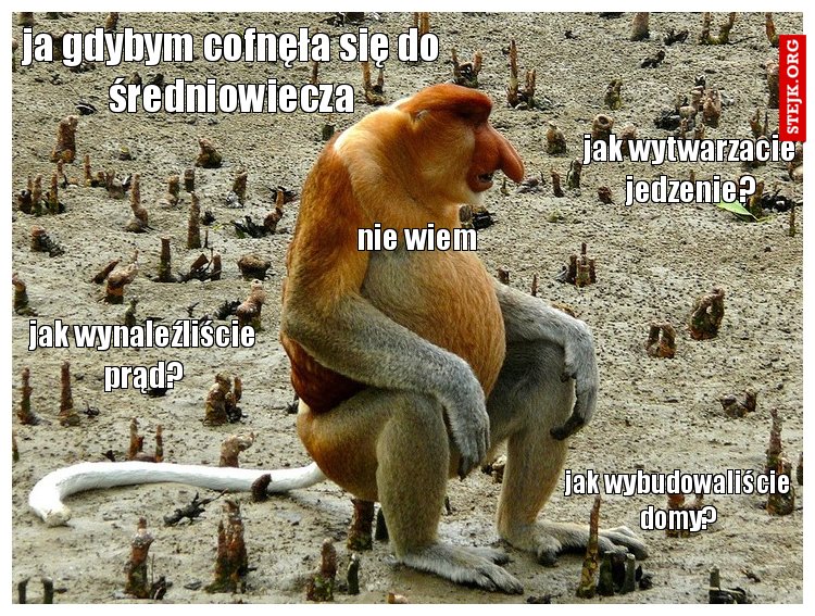ja gdybym cofnęła się do średniowiecza