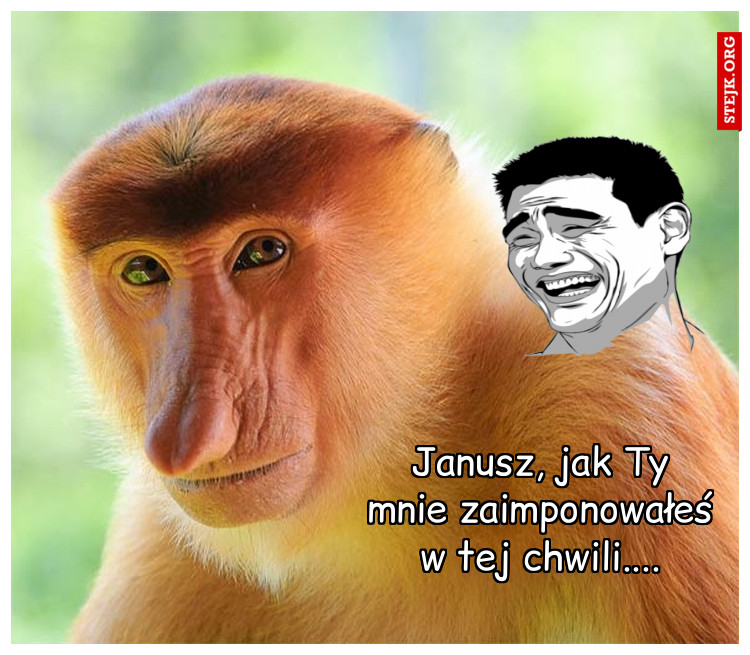 Janusz, jak Ty mnie zaimponowałeś w tej chwili....