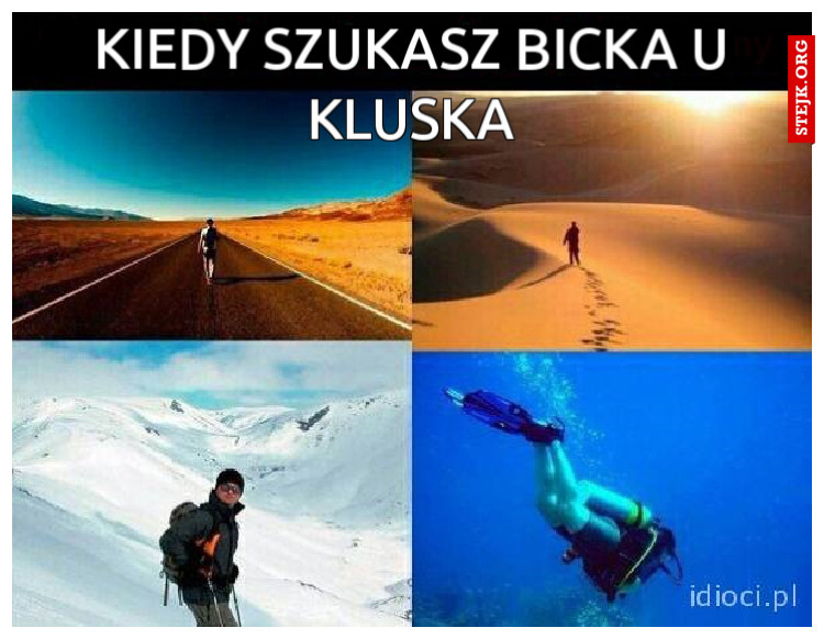 Kiedy szukasz bicka u Kluska
