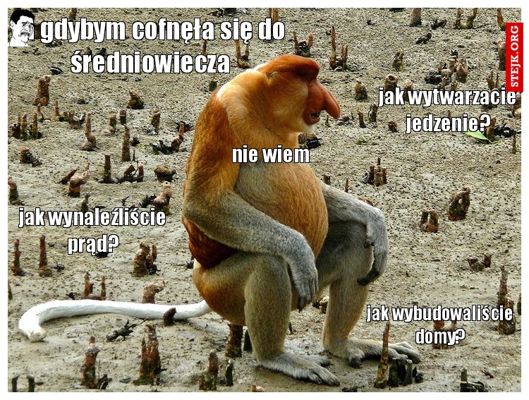 ja gdybym cofnęła się do średniowiecza