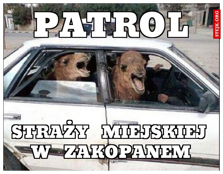 Patrol