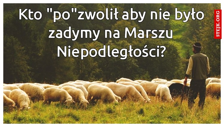 Kto "po"zwolił aby nie było zadymy na Marszu Niepodległości?