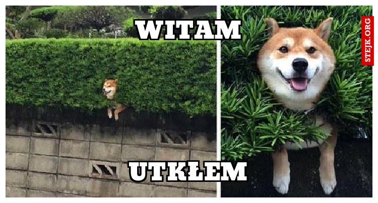 UTKŁEM