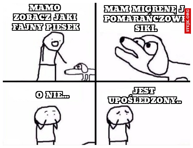 Mamo zobacz jaki fajny piesek