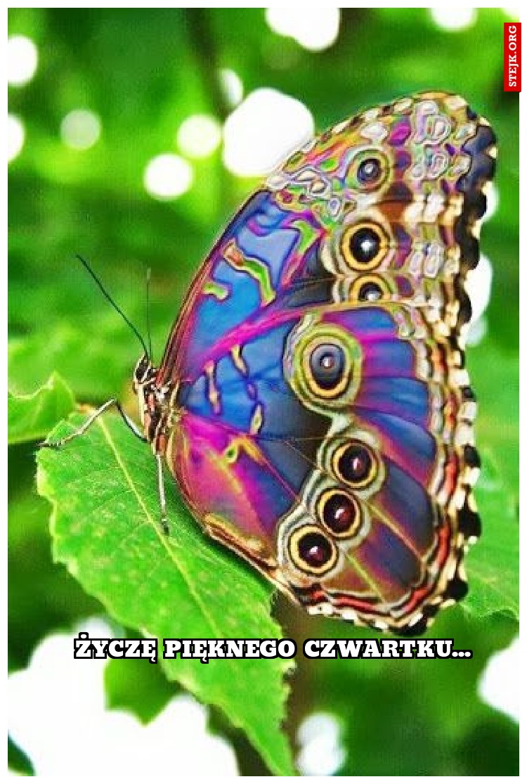 życzę pięknego czwartku...