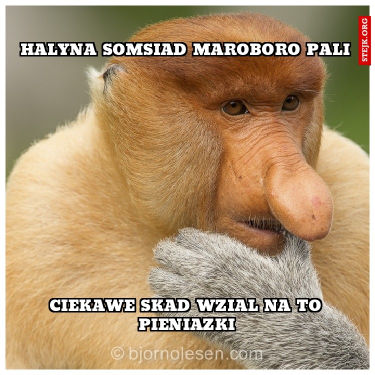 HALYNA SOMSIAD MAROBORO PALI
