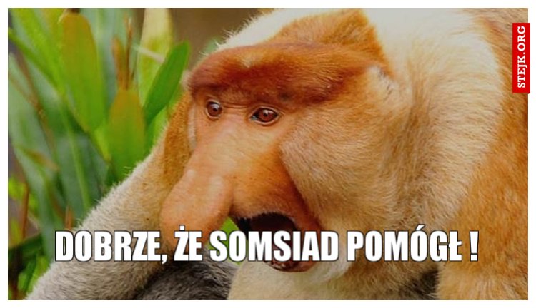 Dobrze, że somsiad pomógł !