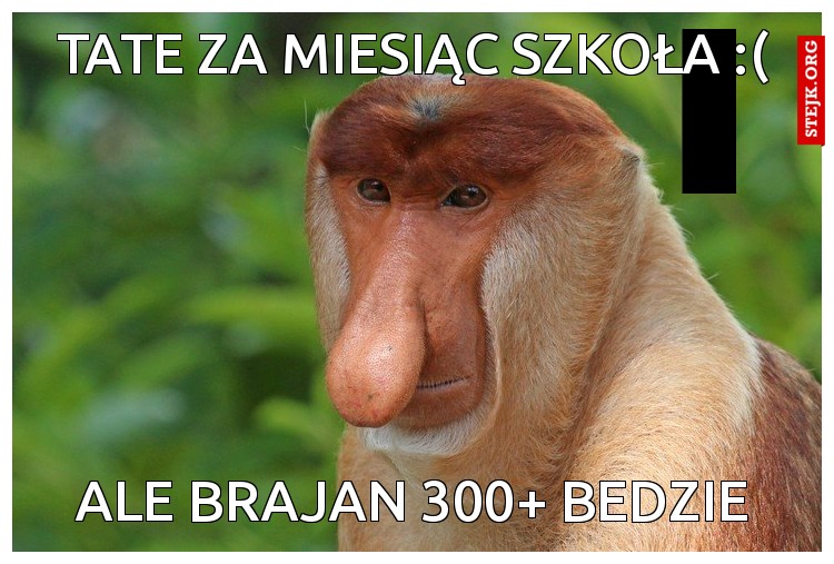 Tate za miesiąc szkoła :(