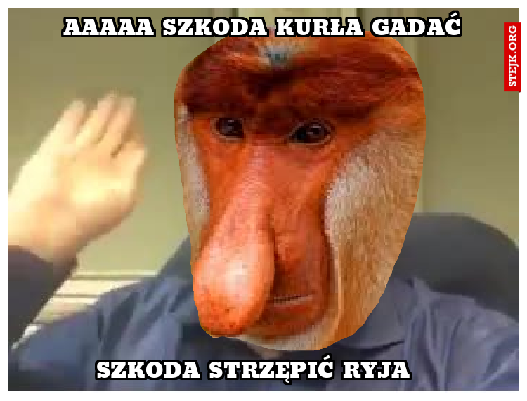 AAAAA Szkoda kurła gadać 