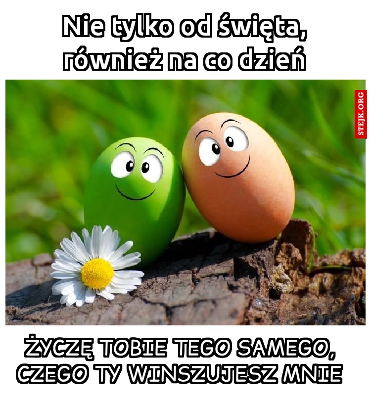Nie tylko od święta, również na co dzień