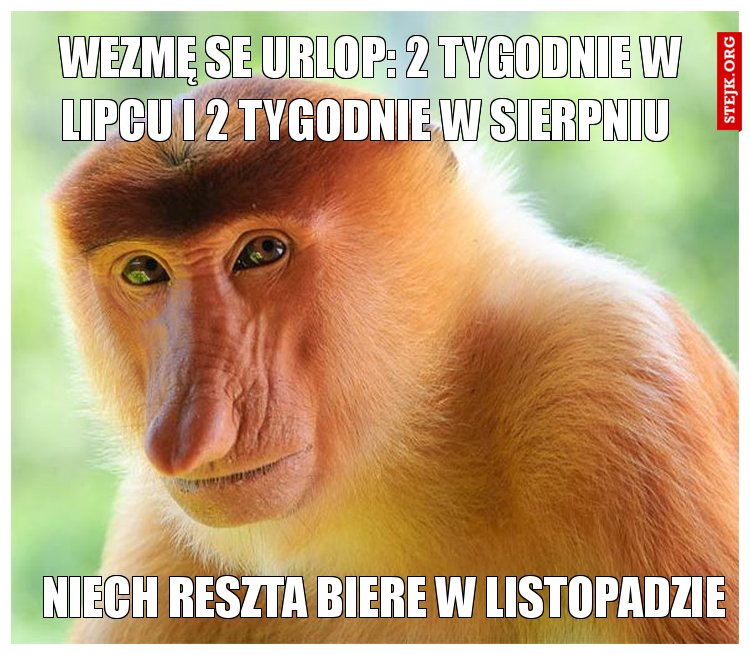 Wezmę se urlop: 2 tygodnie w lipcu i 2 tygodnie w sierpniu 