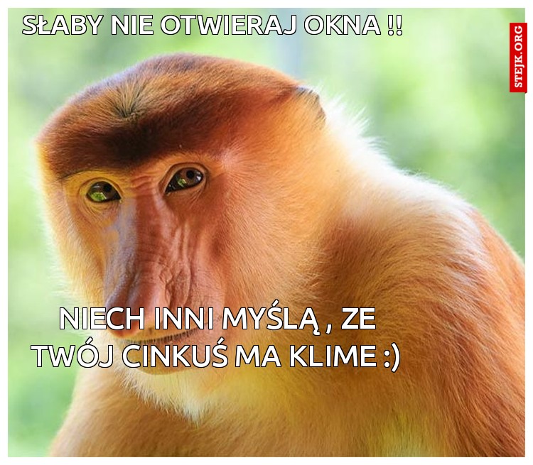 Słaby nie otwieraj okna !!