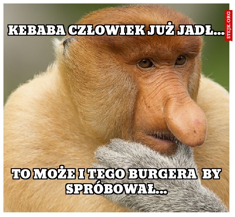 KEBABA CZŁOWIEK JUŻ JADŁ...
