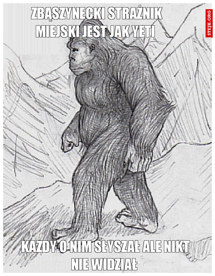 Zbąszynecki strażnik miejski jest jak yeti 