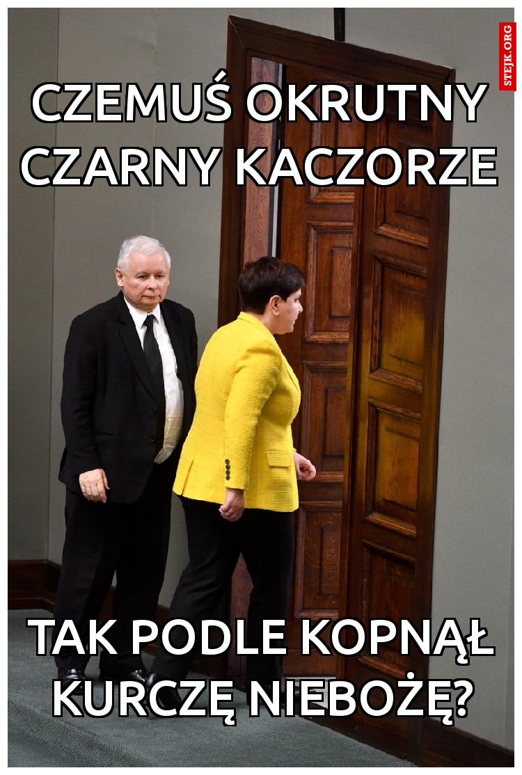 czemuś okrutny czarny kaczorze