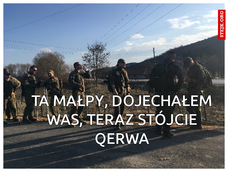 Ta małpy, dojechałem was, teraz stójcie qerwa