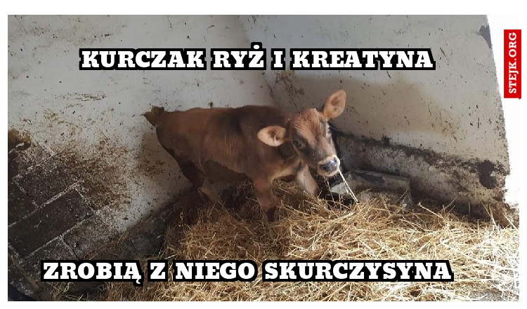 Kurczak Ryż i Kreatyna 