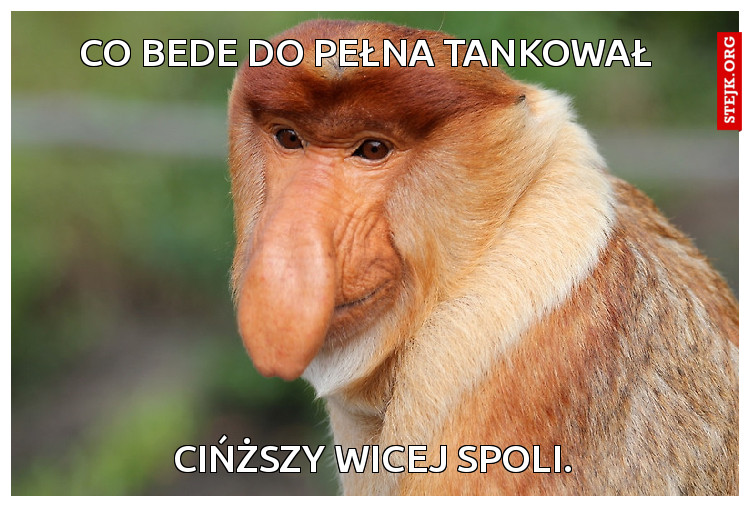 Co bede do pełna tankował