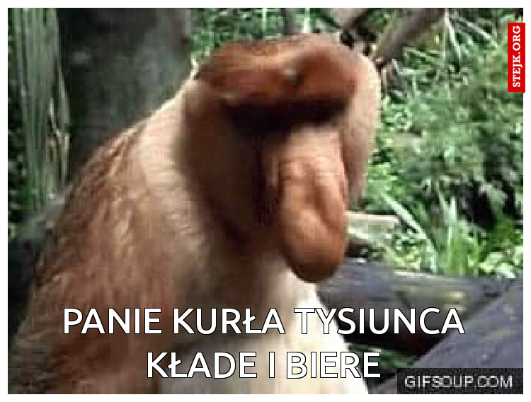 Panie kurła tysiunca kłade i biere
