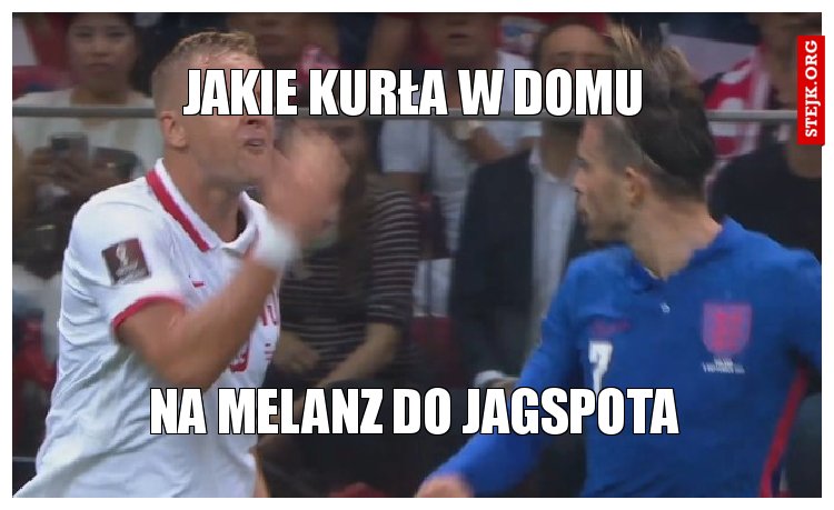 jakie kurła w domu