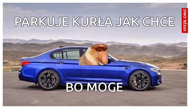 Parkuje kurła jak chce