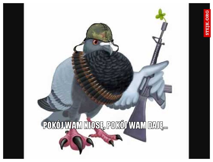 weź popaczaj chłopie. NIe żebym się czepioł.