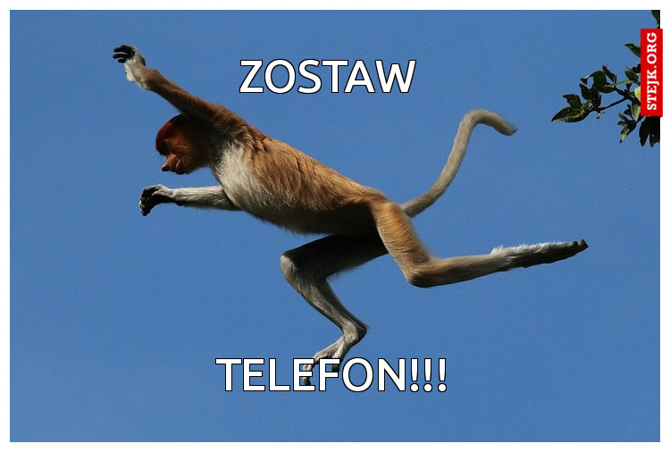 Zostaw 