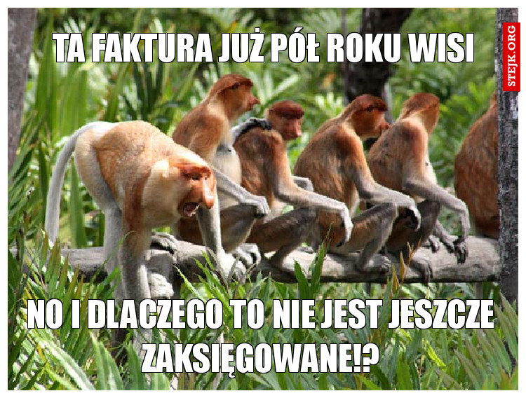 Ta faktura już pół roku wisi